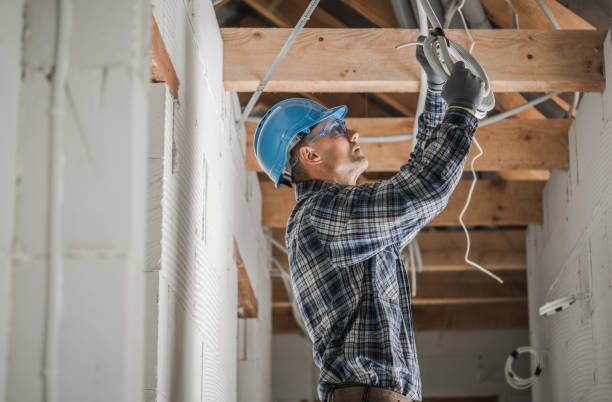 Best Electrical Rewiring Services  in Clinton, MI