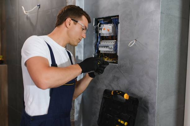Best Electrical System Inspection  in Clinton, MI