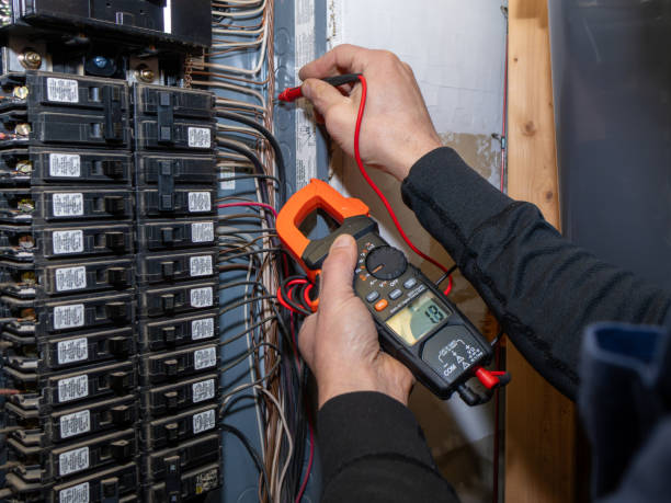 Best Local Electrician Companies  in Clinton, MI