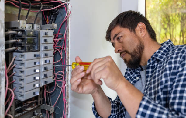 Best Generator Installation Services  in Clinton, MI